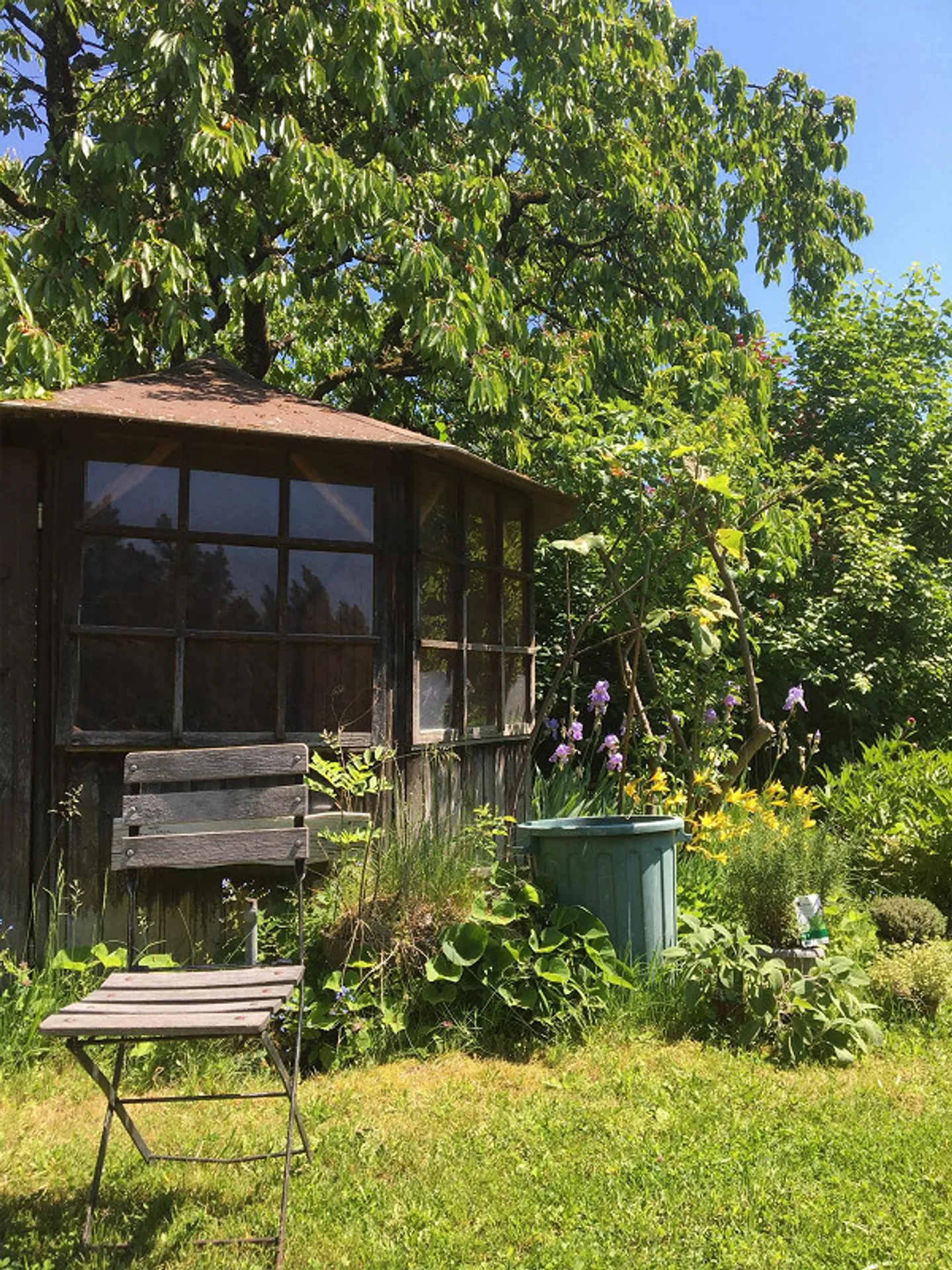 Altbauwohnung 7 ½ - Zimmer mit Garten - Photo 2 of 12