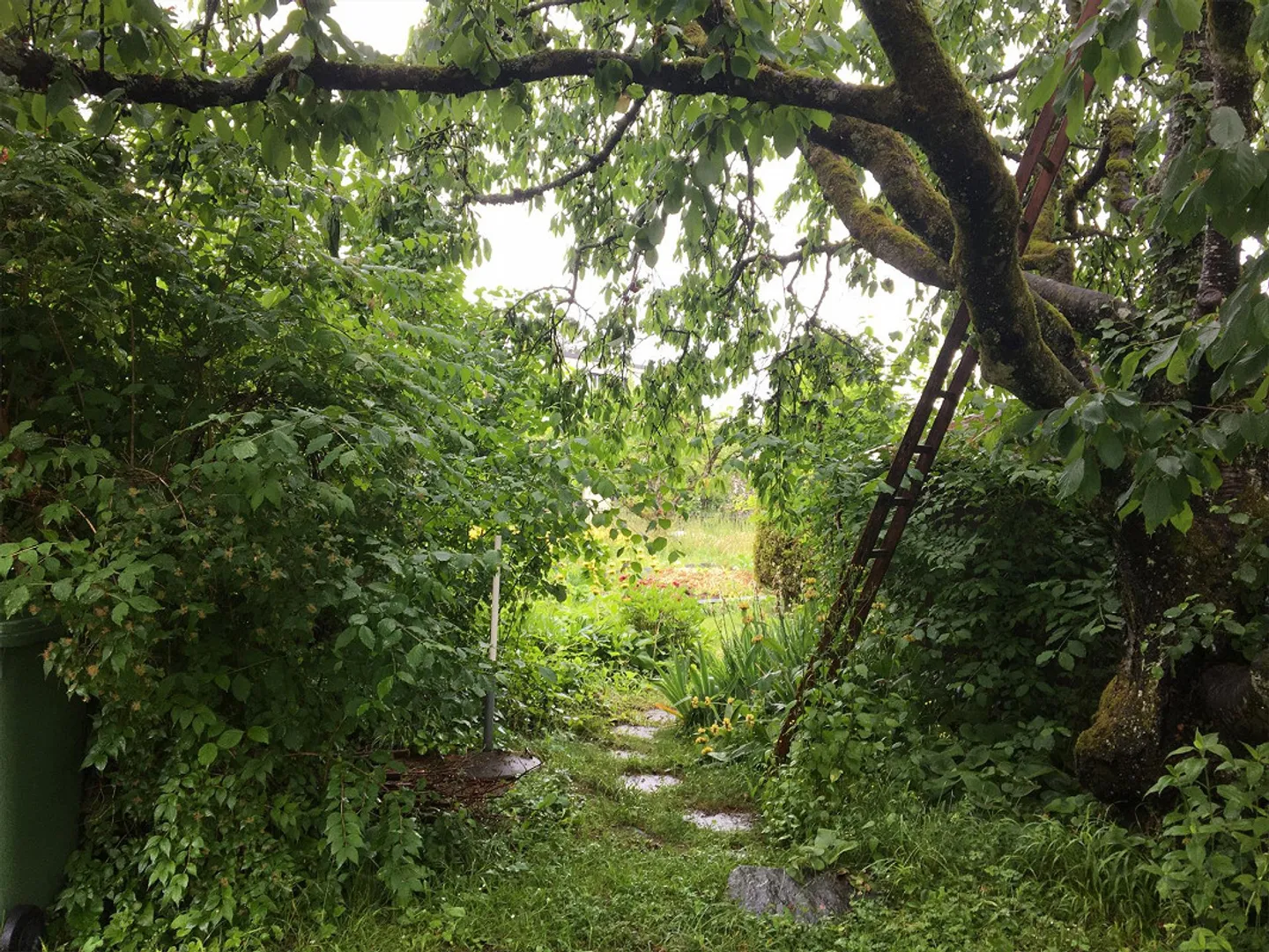 Altbauwohnung 7 ½ - Zimmer mit Garten - Photo 3 of 12