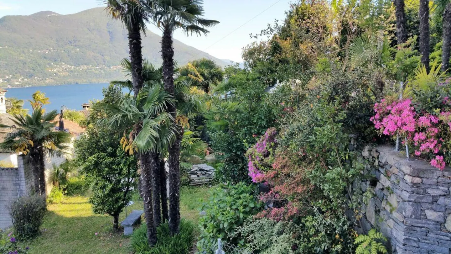 Exclusive property with 8 units and breathtaking views of Lake Maggiore - Brissago - Photo 3 of 30