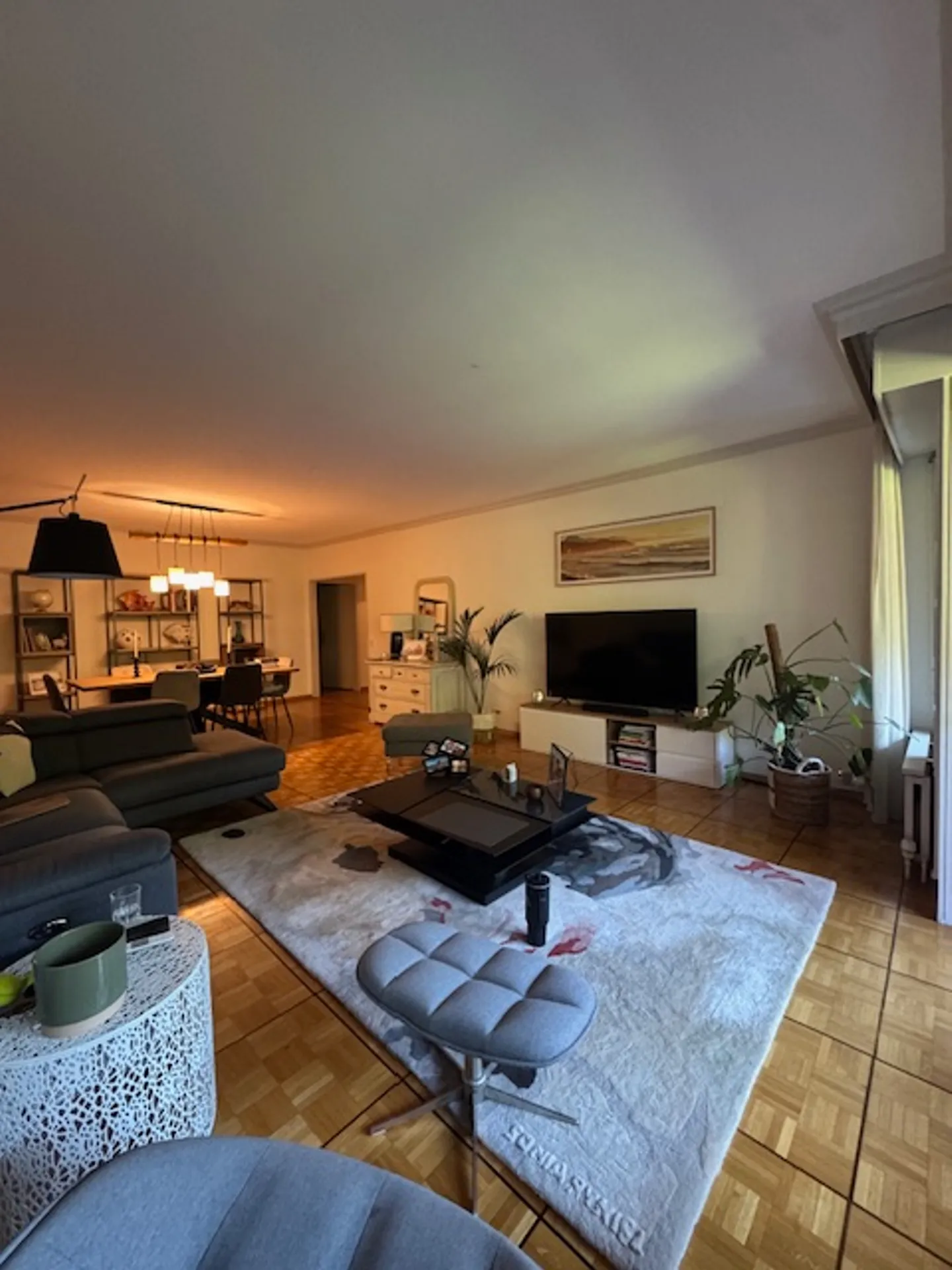 Viager - Nue-propriété appartement d'exception au Cologny Park - Photo 3 sur 10