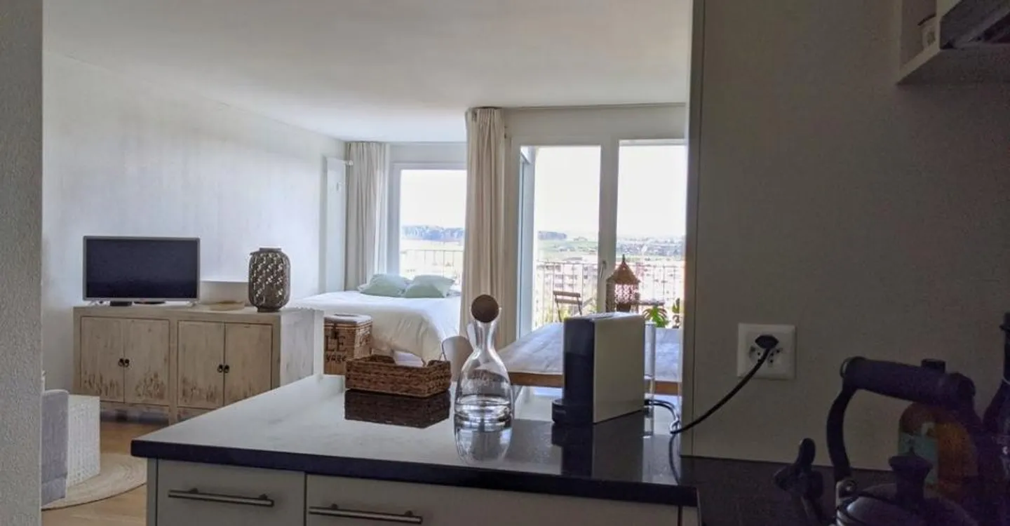 Moderno appartamento di 1,5 stanze in affitto nel verde - Foto 4 di 5