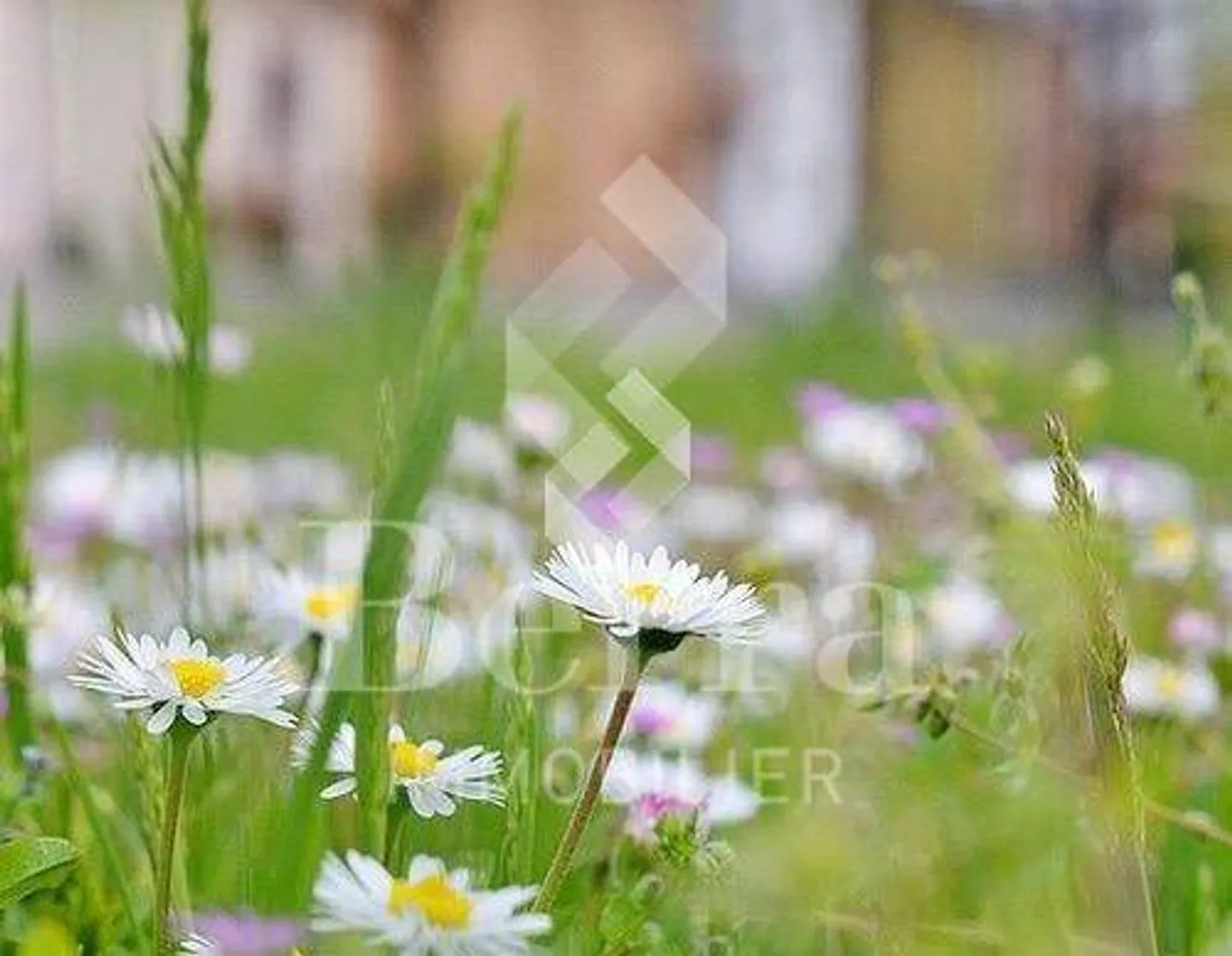 Bellissimo terreno edificabile nel cuore del villaggio di Vouvry - Foto 1 di 3