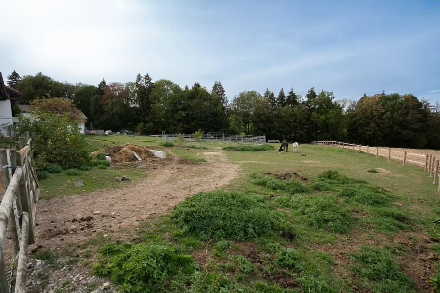 PFERDESTALL MIT 6 WOHNEINHEITEN UND EINEM GRUNDSTÜCK VON 10'474 M² - Foto 6 von 13
