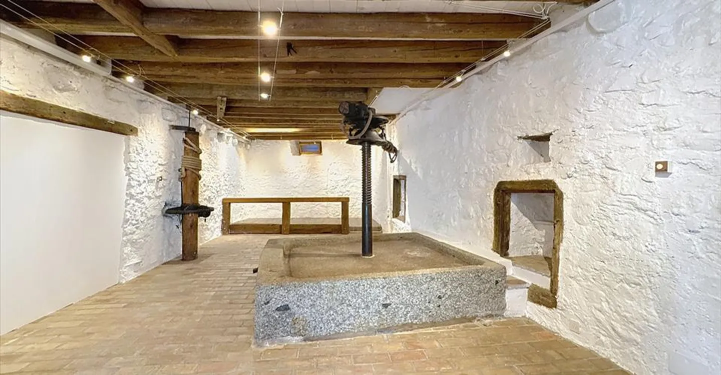 Mixed-use building for rent - Photo 7 of 7