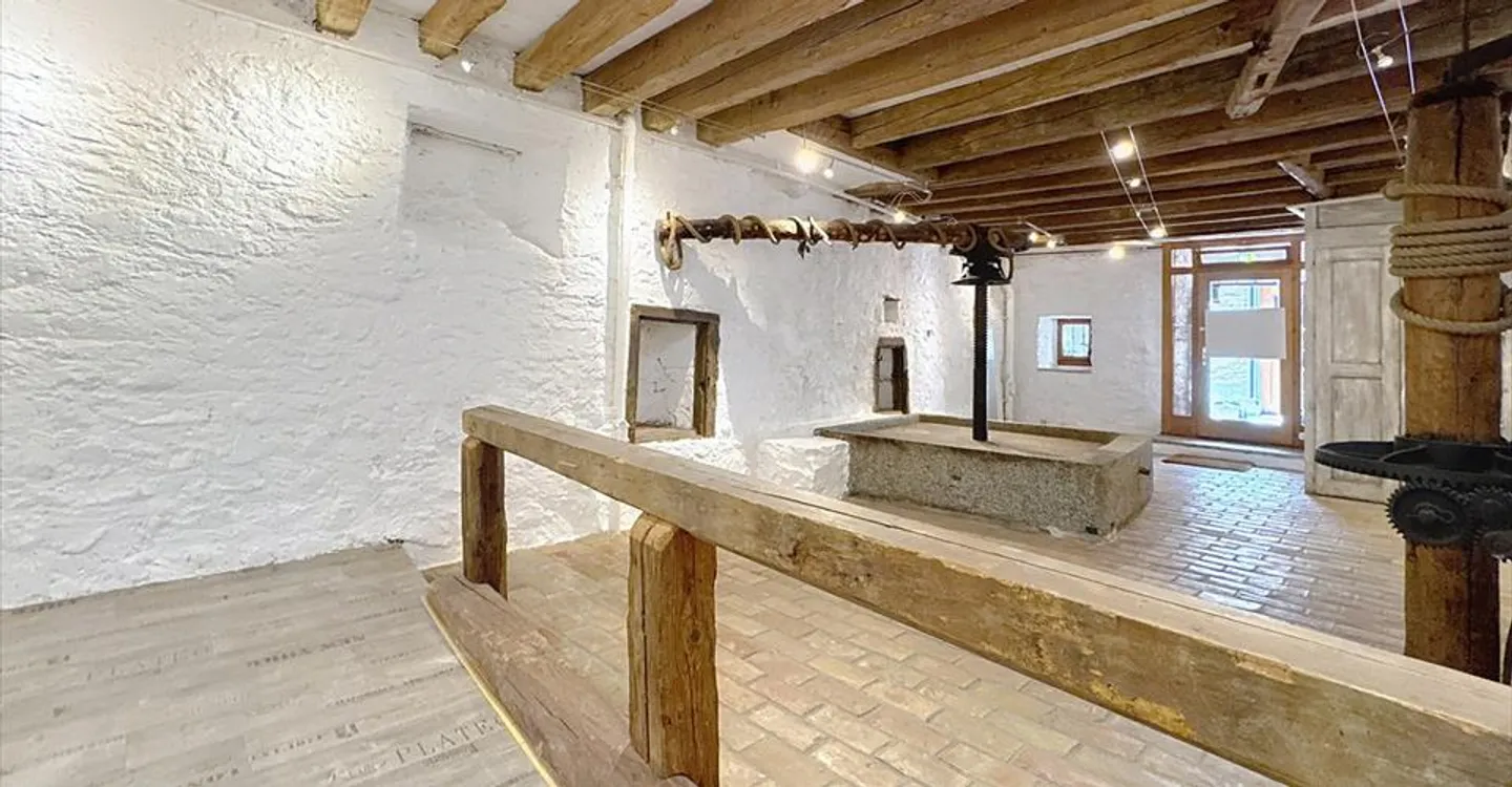 Mixed-use building for rent - Photo 2 of 7