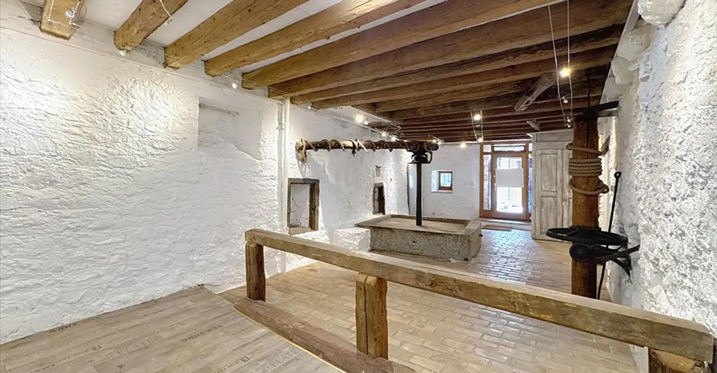 Mixed-use building for rent - Photo 3 of 7