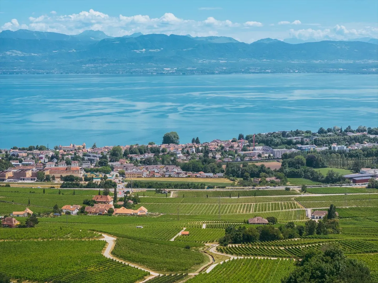 Architecture singulière et vues panoramiques sur le lac Léman. - Photo 13 sur 13