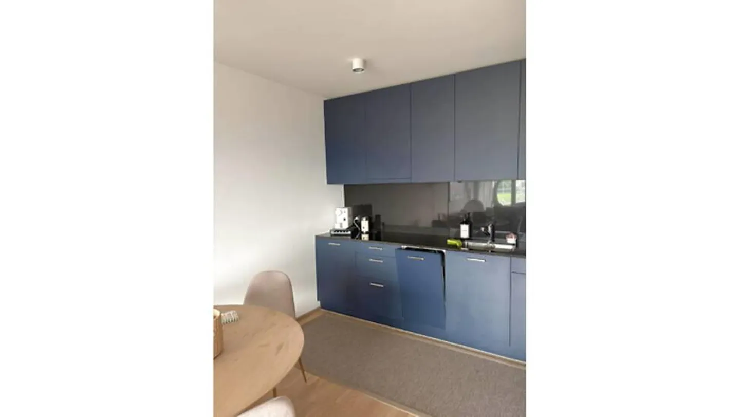 2½ ROOM APARTMENT IN HORW (LU), FURNISHED, TEMPORARY - Photo 5 of 8