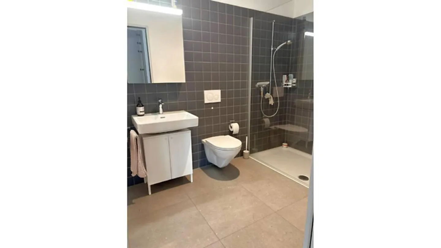 2½ ROOM APARTMENT IN HORW (LU), FURNISHED, TEMPORARY - Photo 7 of 8