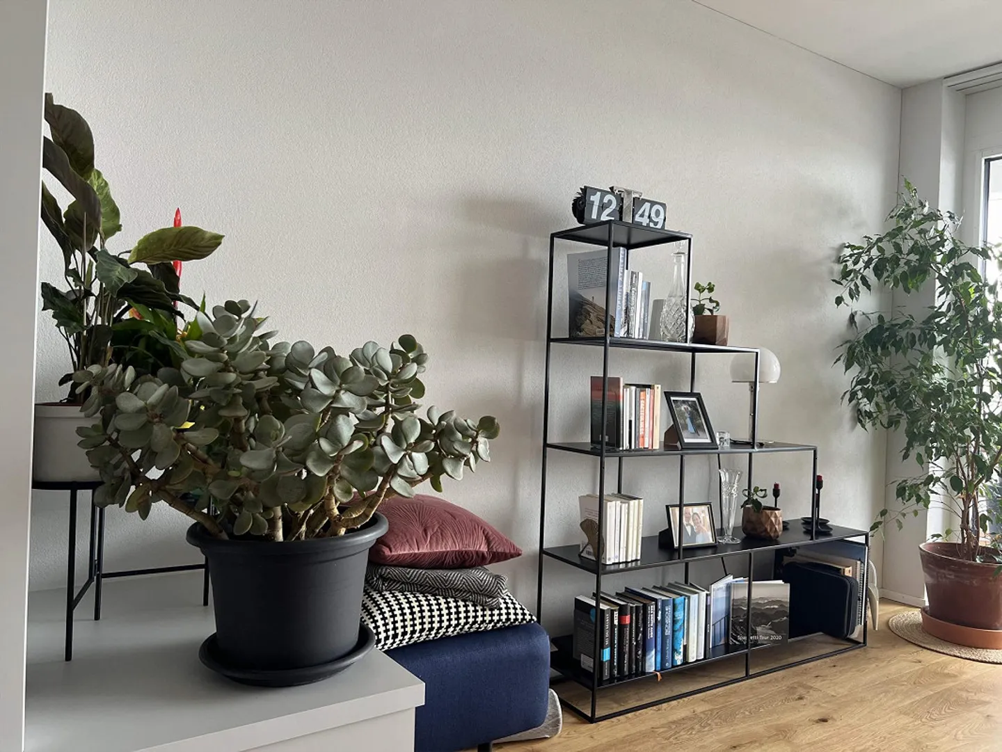 2.5 Room Apartment in Horgen Oberdorf with Incredible View - Photo 3 of 4