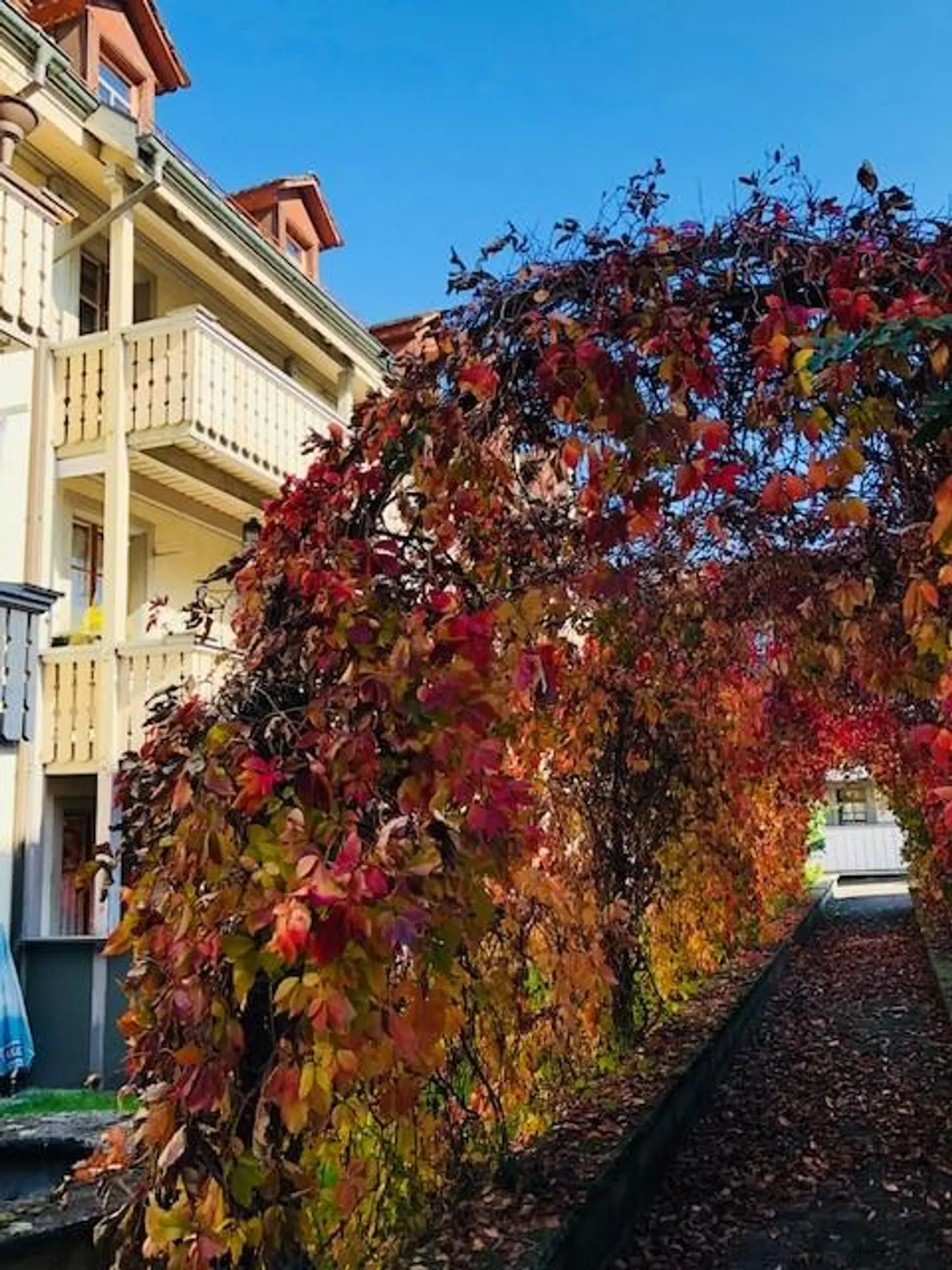 Appartamento 3 locali arredato attraente con balcone - Foto 8 di 8