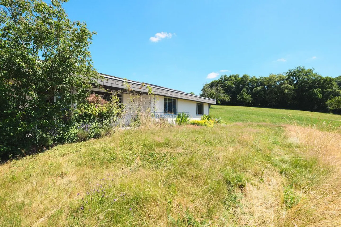 Nature idyll with far-reaching views - single-family home in Hochwald, quiet & unique - Photo 11 of 14