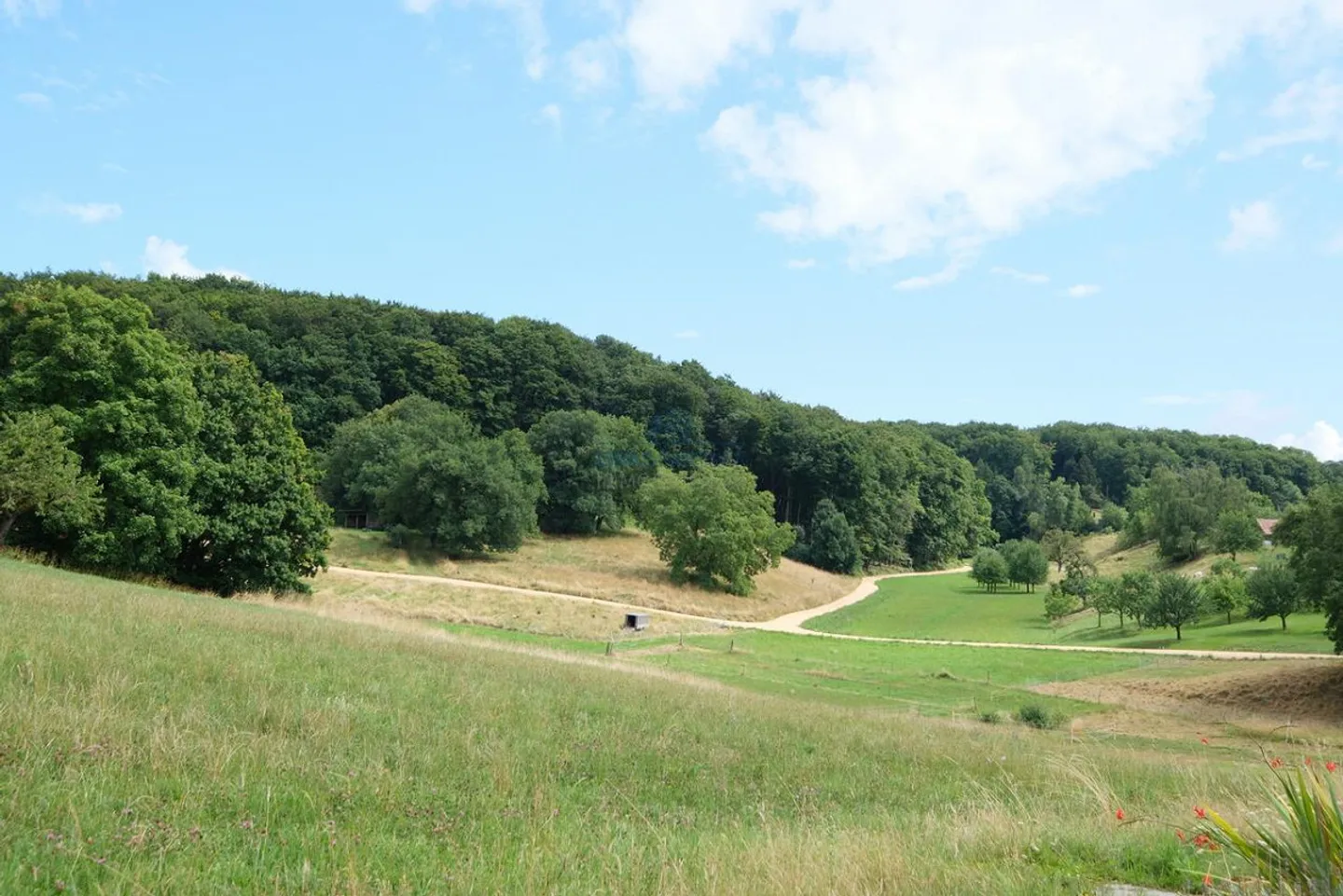 Nature idyll with far-reaching views - single-family home in Hochwald, quiet & unique - Photo 12 of 14