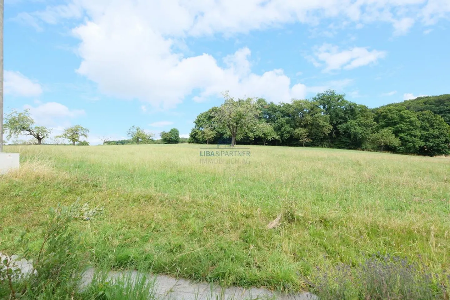 Nature idyll with far-reaching views - single-family home in Hochwald, quiet & unique - Photo 13 of 14