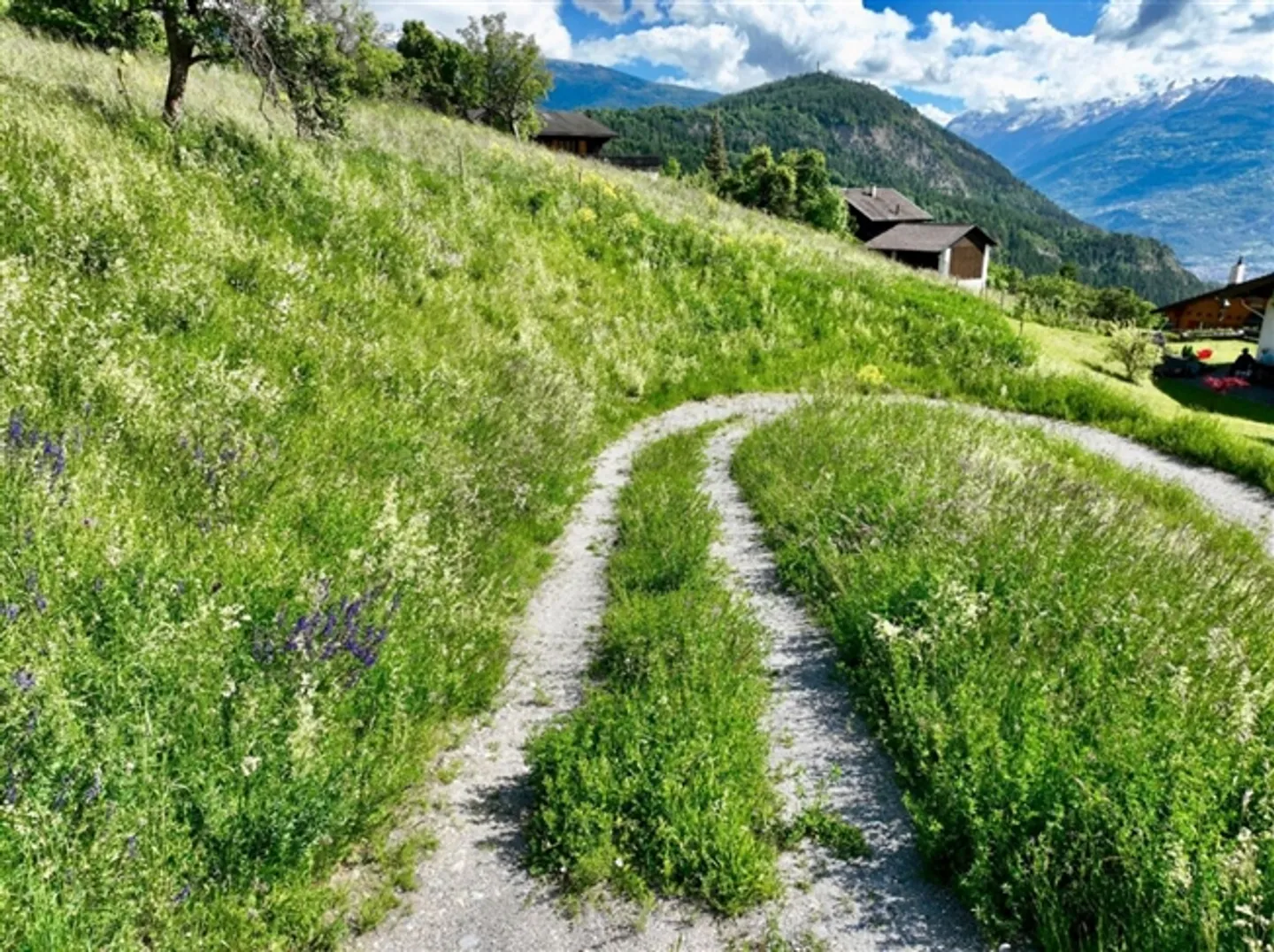 Extraordinary Land in Icogne - Panoramic View and Ideal Sunshine - Photo 3 of 5