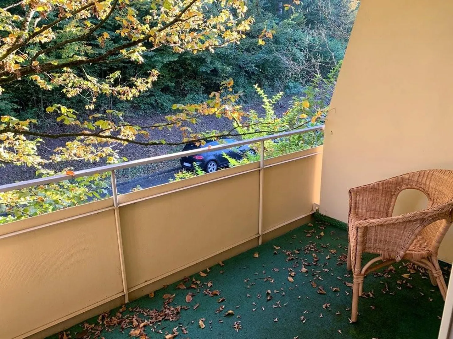 1.5 Zimmerwohnung Nähe Uni Irchel und Waldrand (befristet 30.06.2026) - Foto 6 von 7