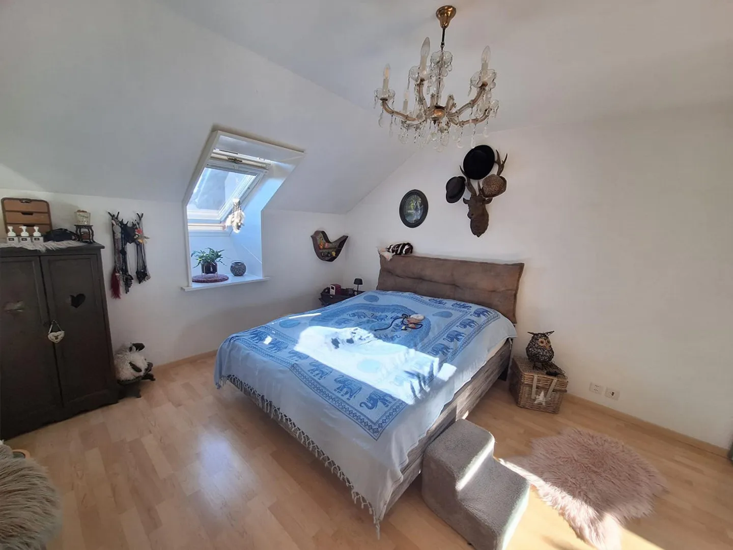 Beautiful 2.5 room apartment in the attic, Allschwil - Photo 4 of 9