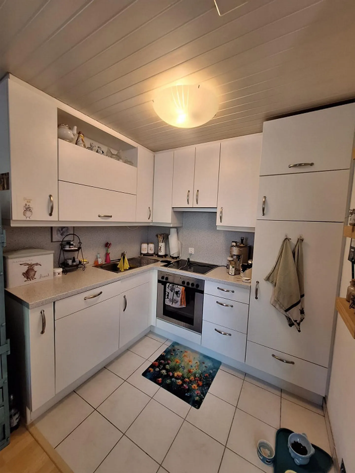 Beautiful 2.5 room apartment in the attic, Allschwil - Photo 5 of 9