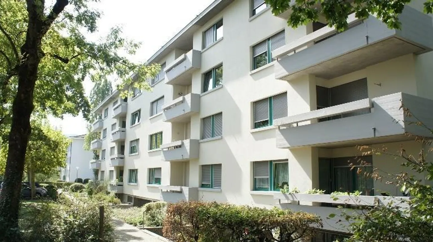 Renovated apartment in an ideal location - Photo 1 of 10