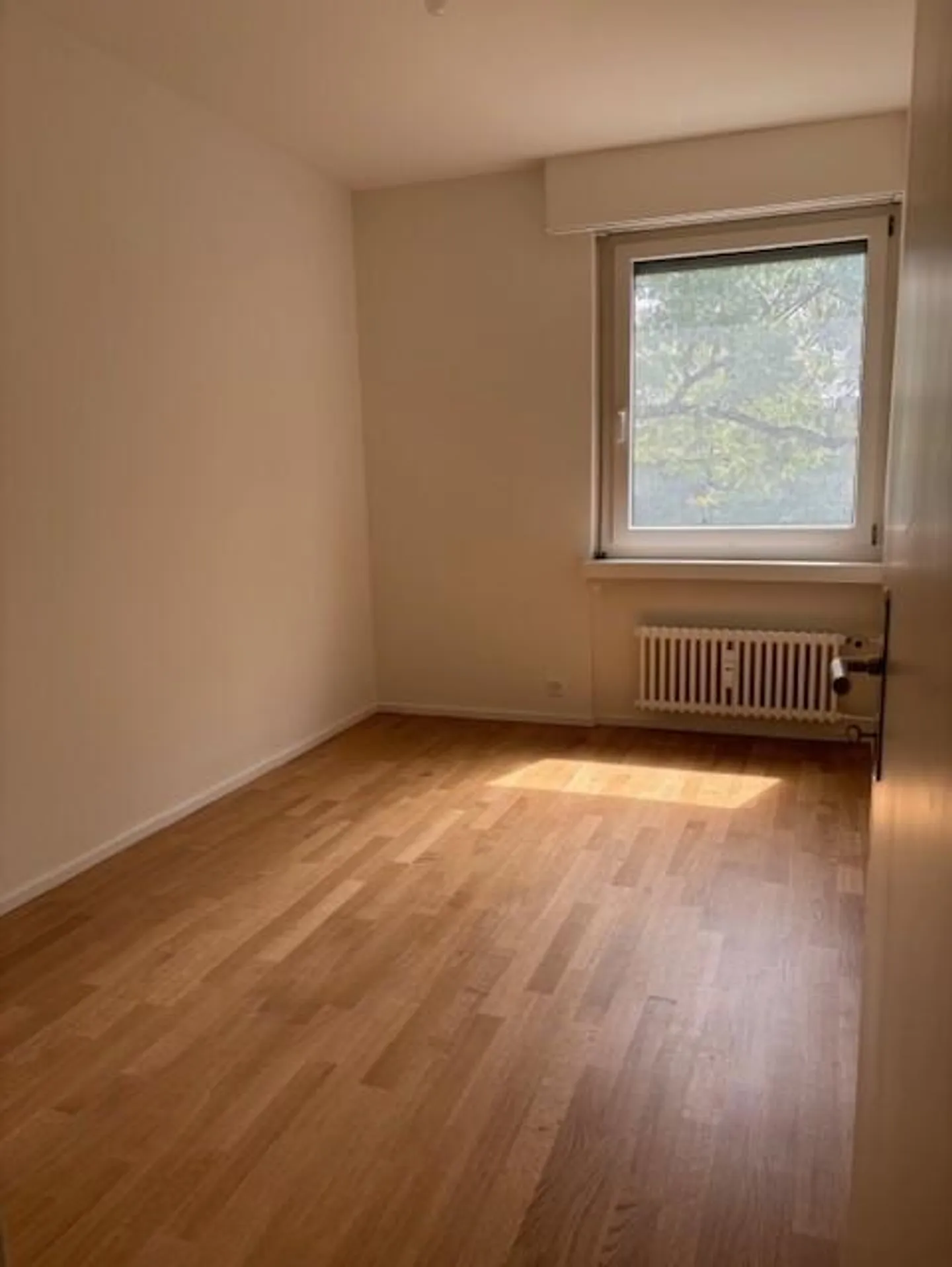 Renovated apartment in an ideal location - Photo 5 of 10