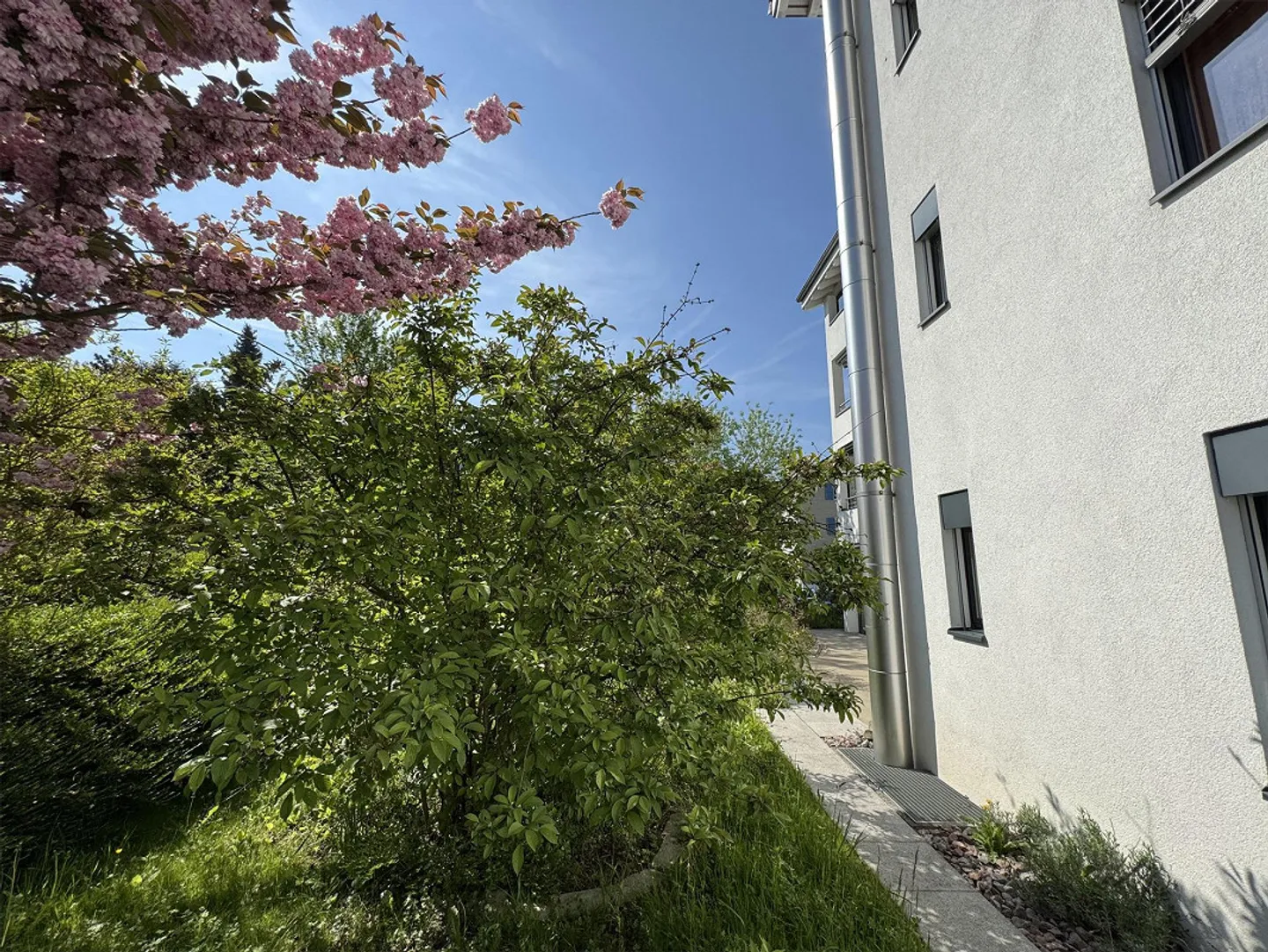 Appartamento giardino luminoso di 4½ locali con grande giardino privato in una posizione tranquilla - Foto 13 di 15
