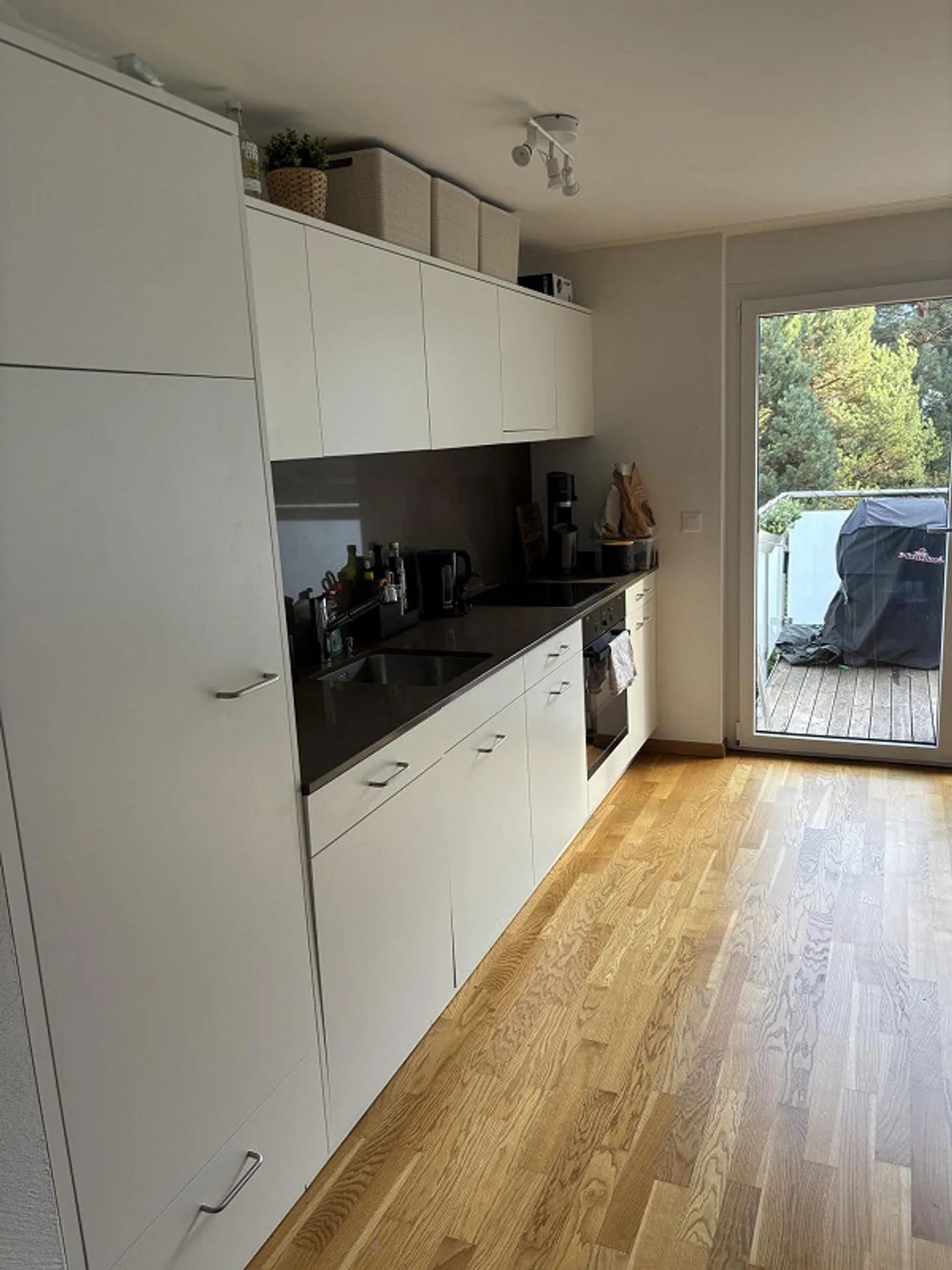 2.5 Room Apartment - Photo 2 of 7