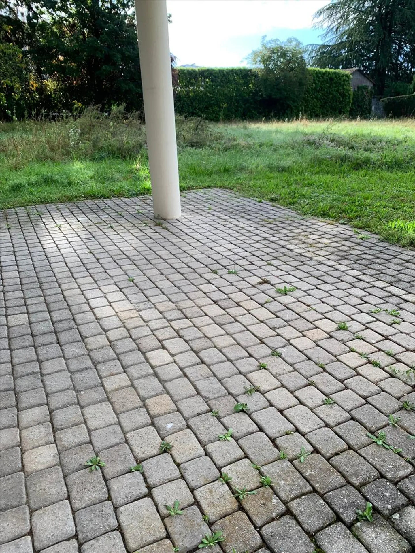 Schönes Apartment in einer ruhigen und grünen Umgebung mit Terrasse und Garten - Foto 6 von 8