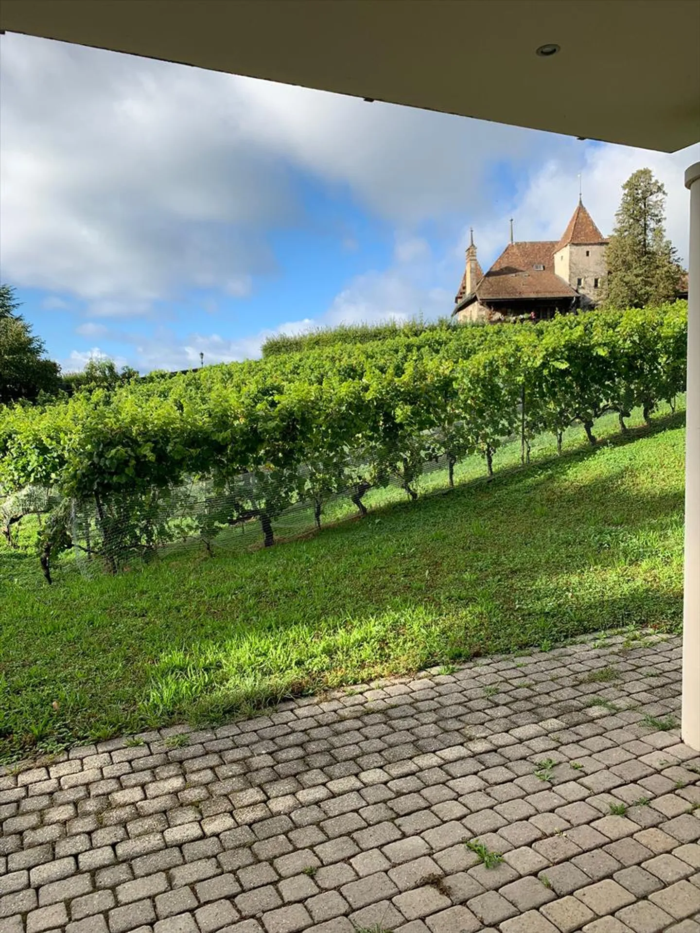 Schönes Apartment in einer ruhigen und grünen Umgebung mit Terrasse und Garten - Foto 8 von 8