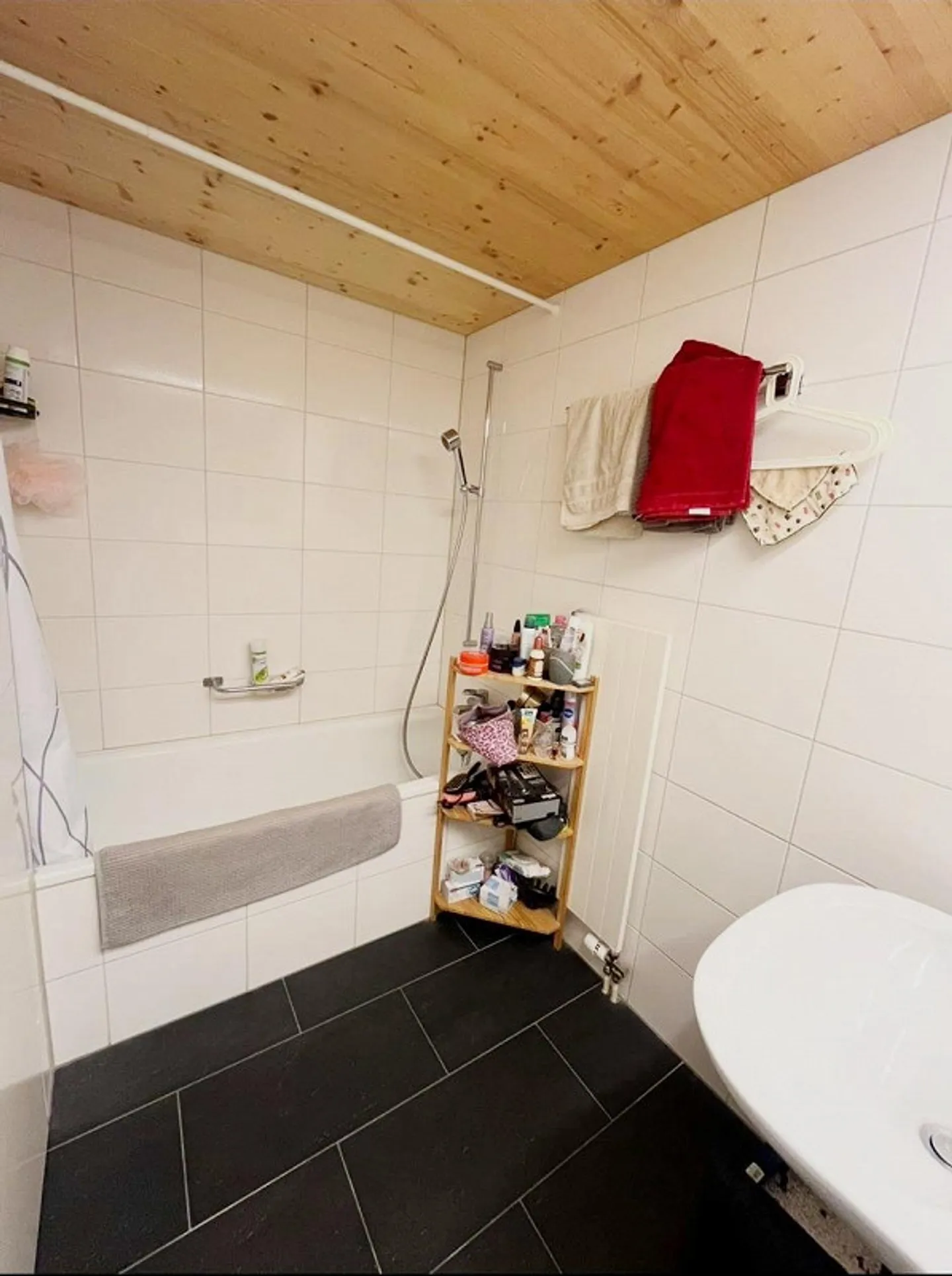 Spacious 3.5-room apartment in a sunny location - Photo 3 of 10