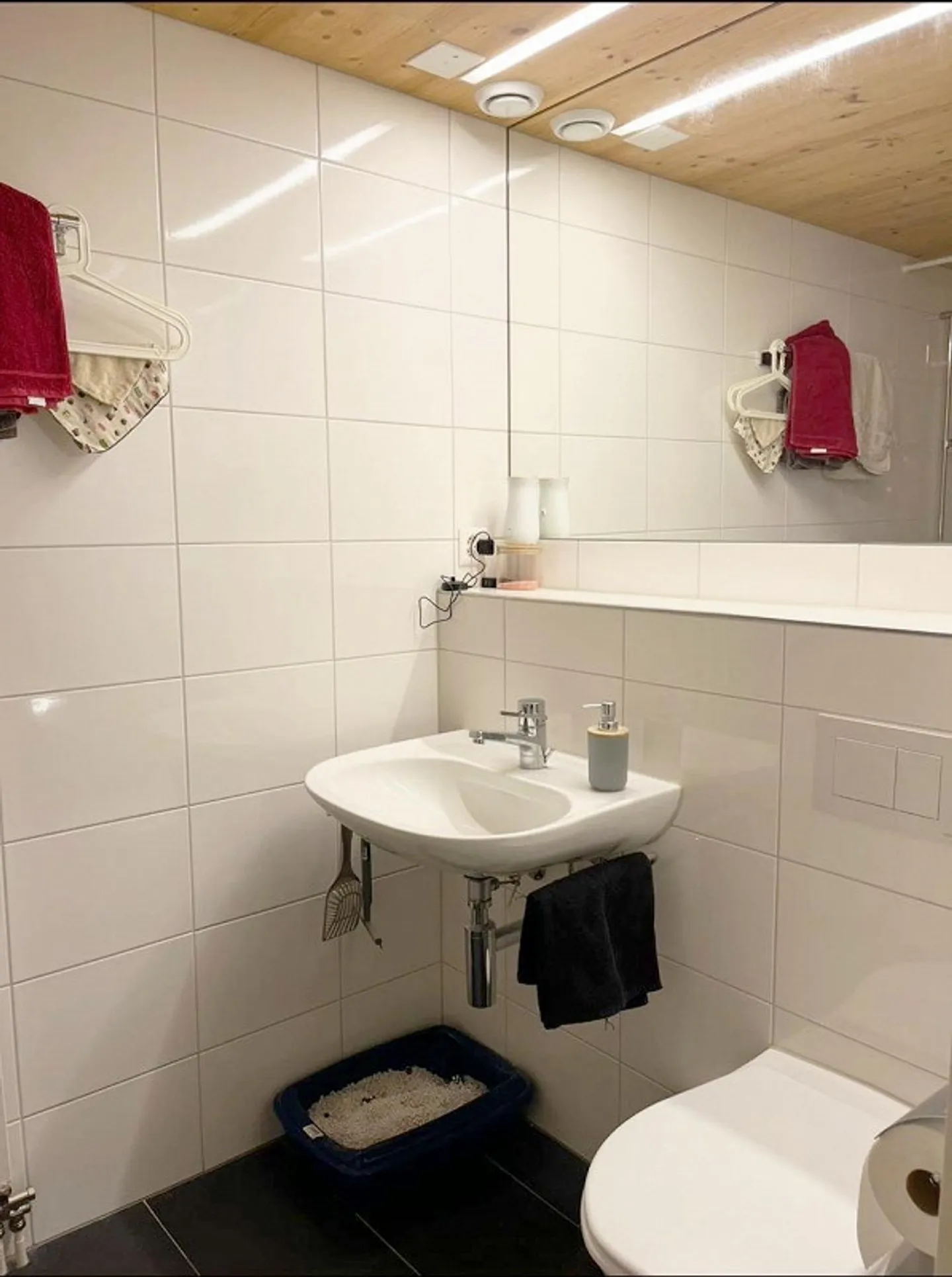 Spacious 3.5-room apartment in a sunny location - Photo 4 of 10