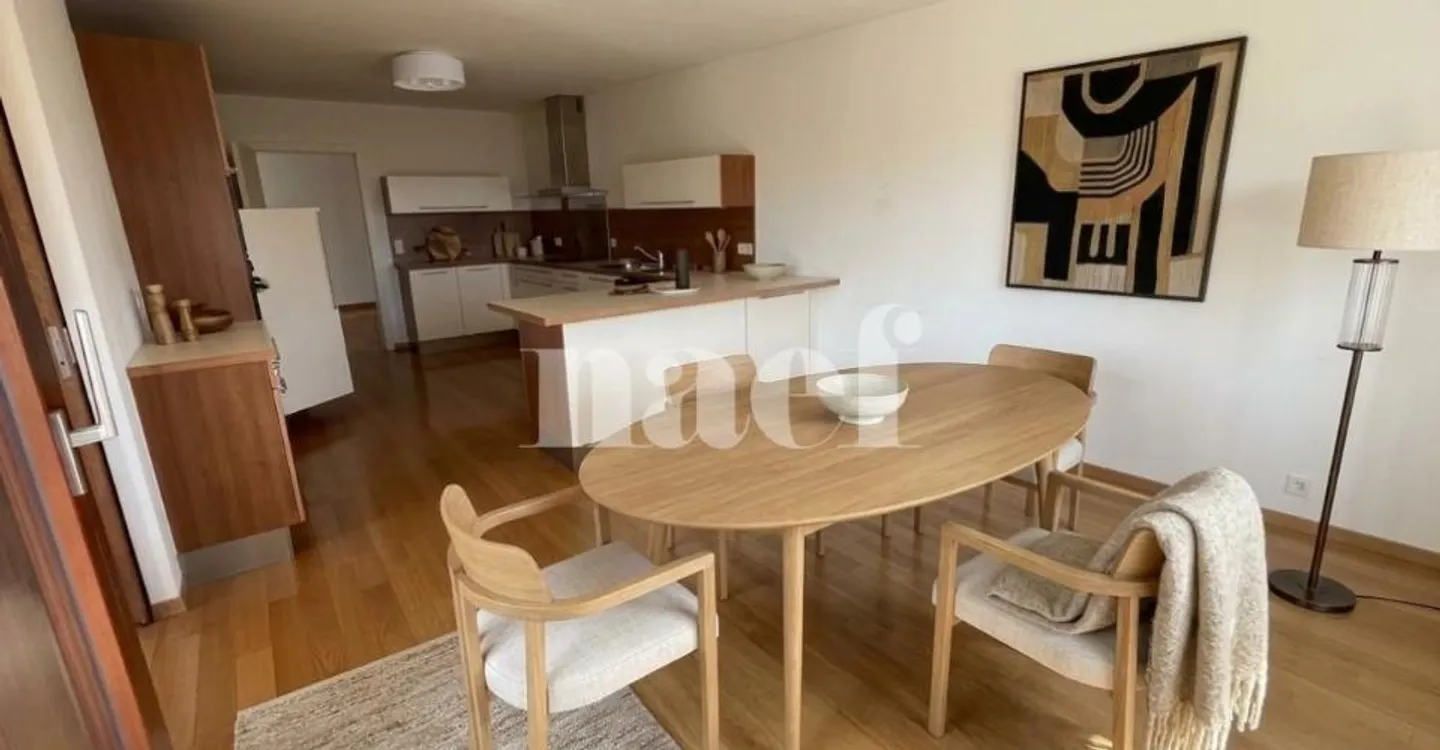 Nel centro di Nyon con vista sul lago e sul castello - Appartamento eccezionale di 4,5 locali con grande terrazza e vista sul lago - Foto 3 di 8