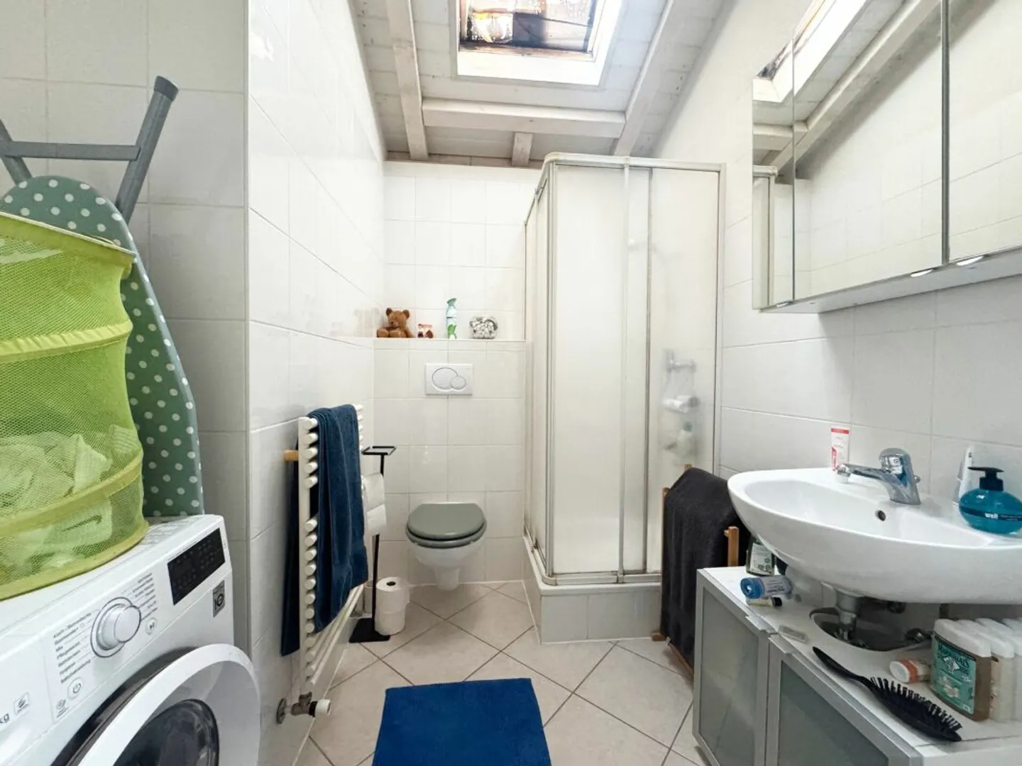 Spacious Family Home in Geneva - Photo 14 of 15