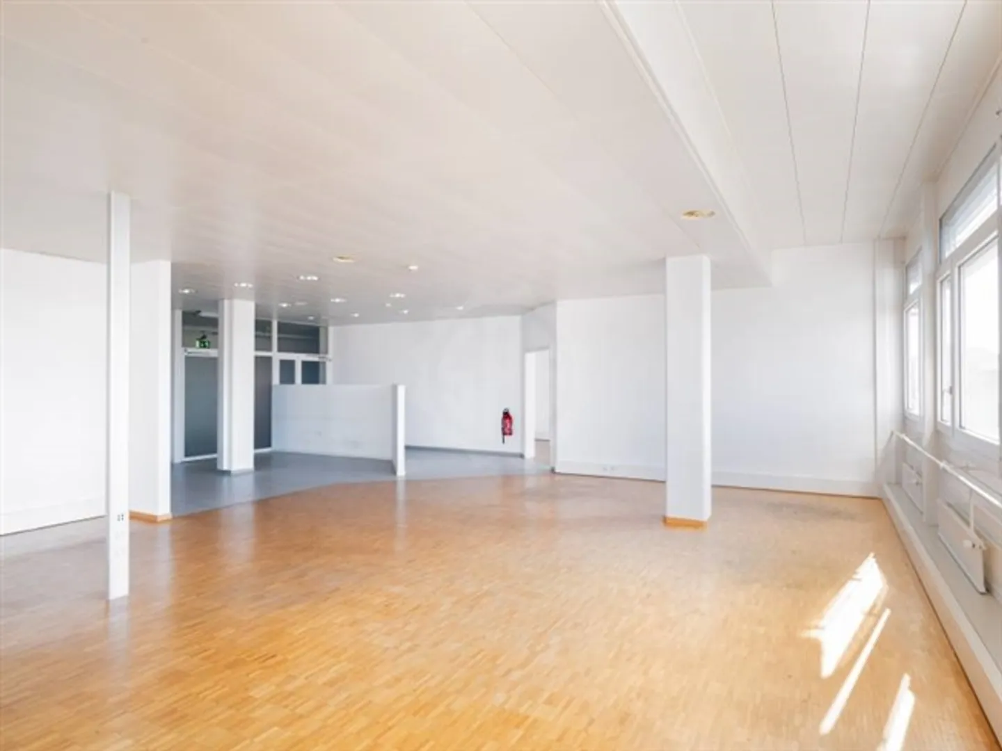 Bella zona industriale - Grand-Lancy - Foto 6 di 6