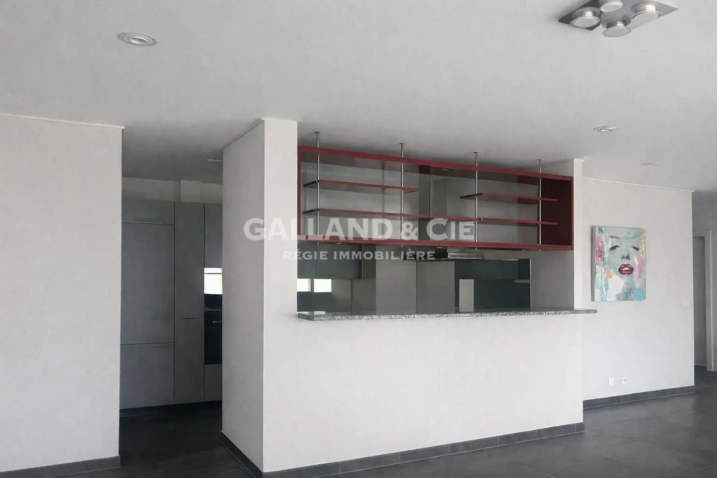 Magnificent 5.5-room apartment with garden and terrace in Pully - Photo 3 of 8