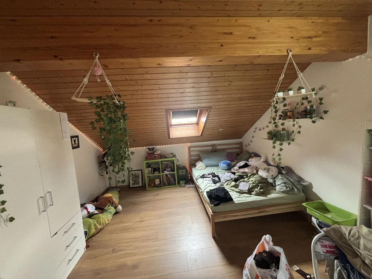 Châtel-Saint-Denis Appartamento duplex 9 - B9 - Foto 14 di 28