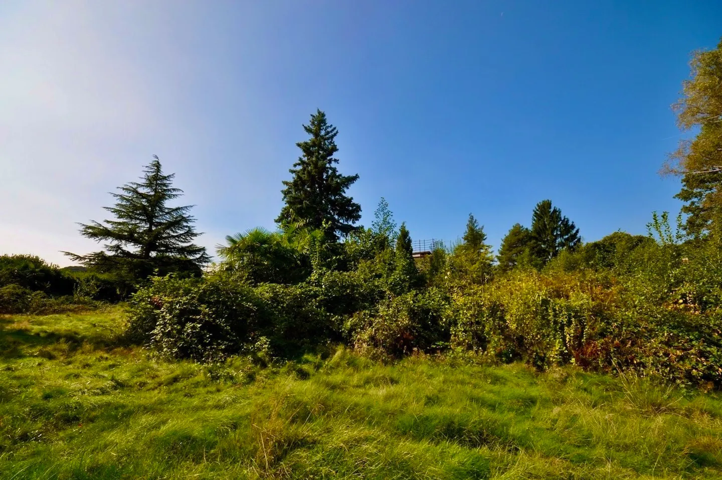 Villa à rénover entourée d'un grand parc avec beaucoup d'intimité - Photo 9 sur 24