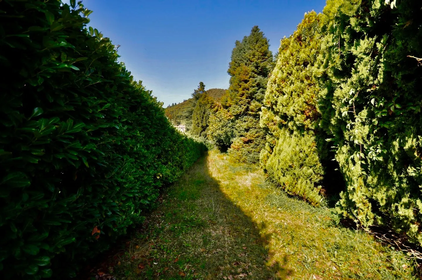 Villa à rénover entourée d'un grand parc avec beaucoup d'intimité - Photo 13 sur 24