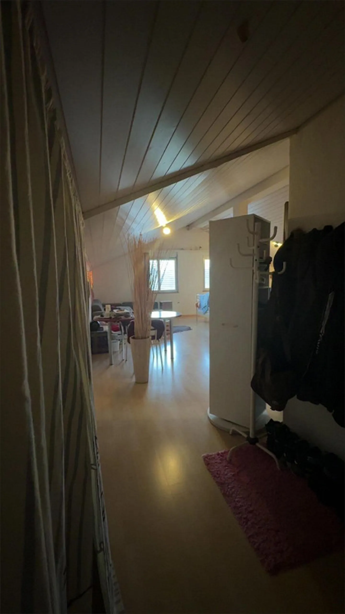 Luminoso monolocale in posizione tranquilla - con cucina e bagno separati - Foto 1 di 7