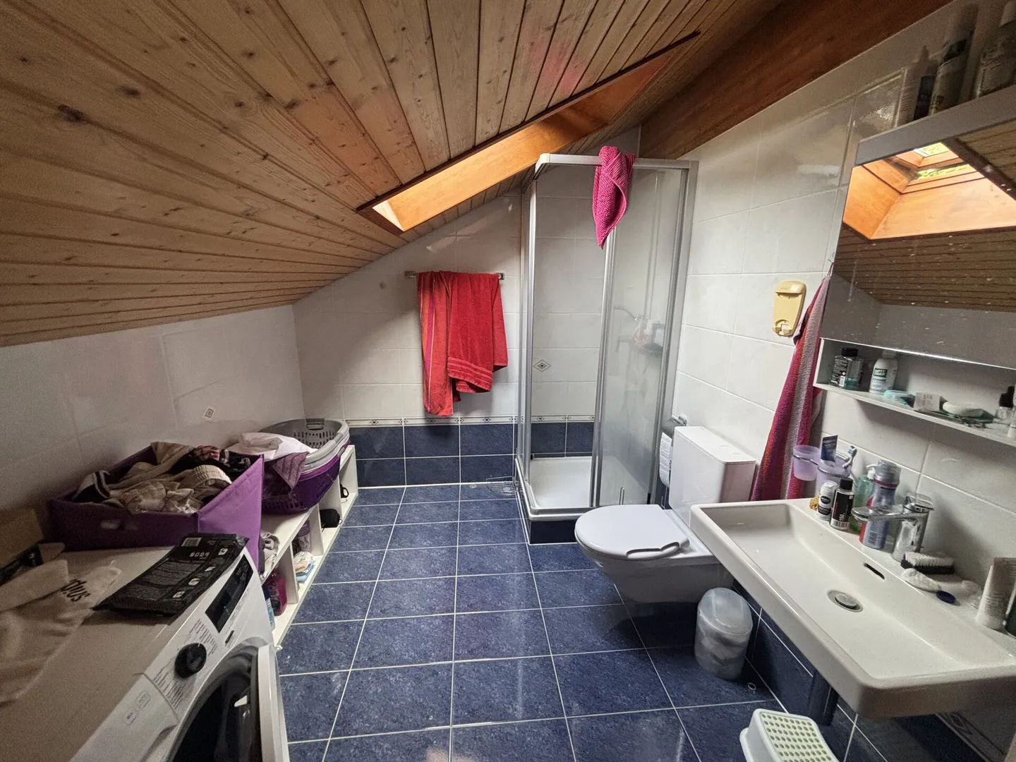 Châtel-Saint-Denis Appartamento duplex 9 - B9 - Foto 23 di 28