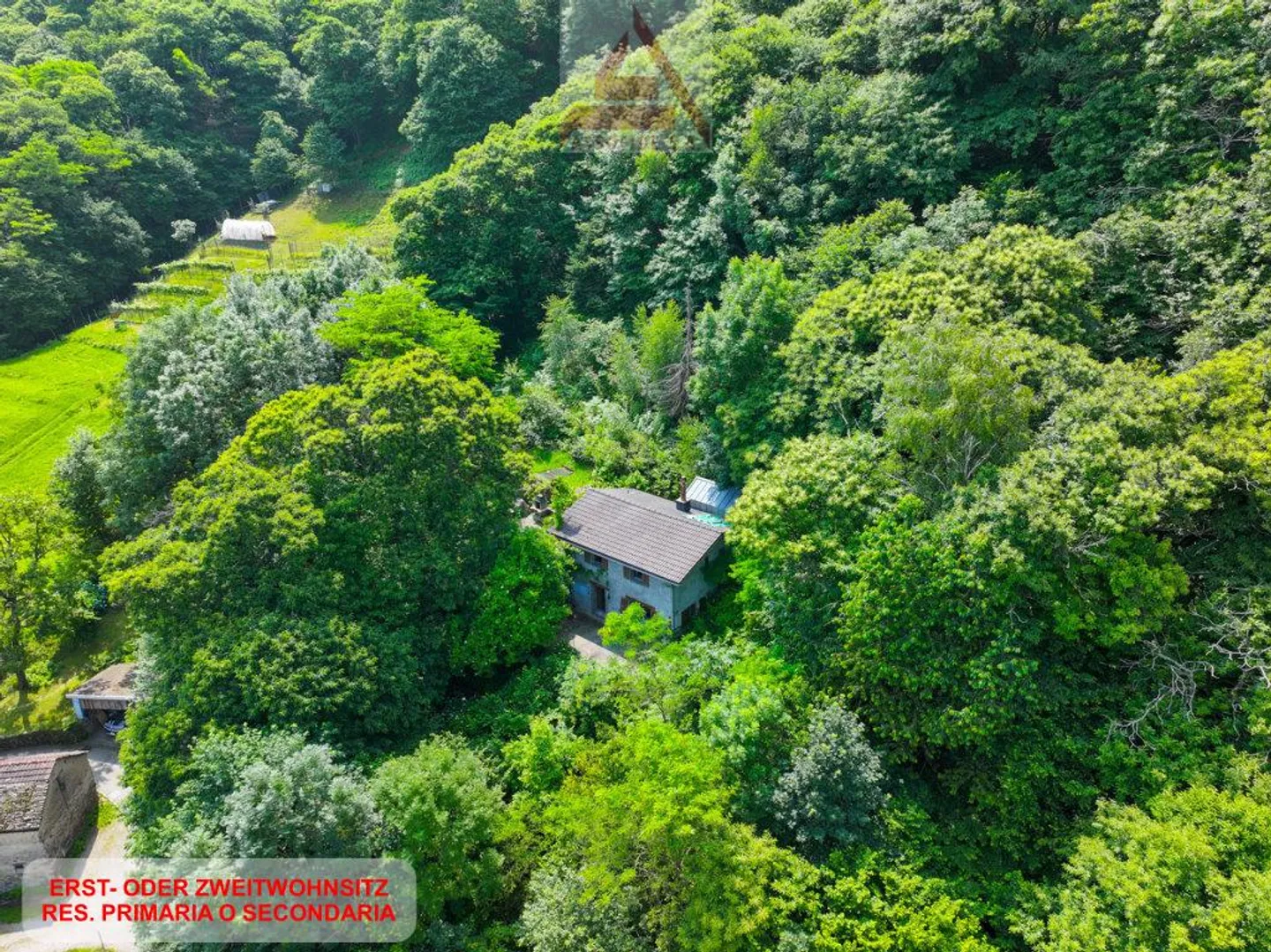 Maison immergée dans la verdure - Photo 1 sur 6