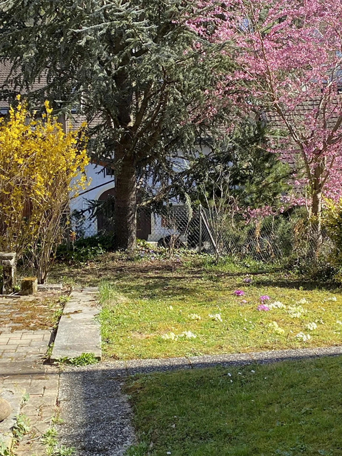 Beautiful garden apartment at the foot of Wartenberg - Photo 1 of 5