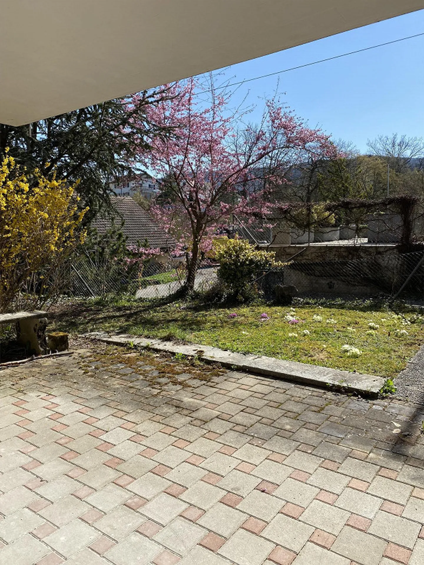 Beautiful garden apartment at the foot of Wartenberg - Photo 3 of 5