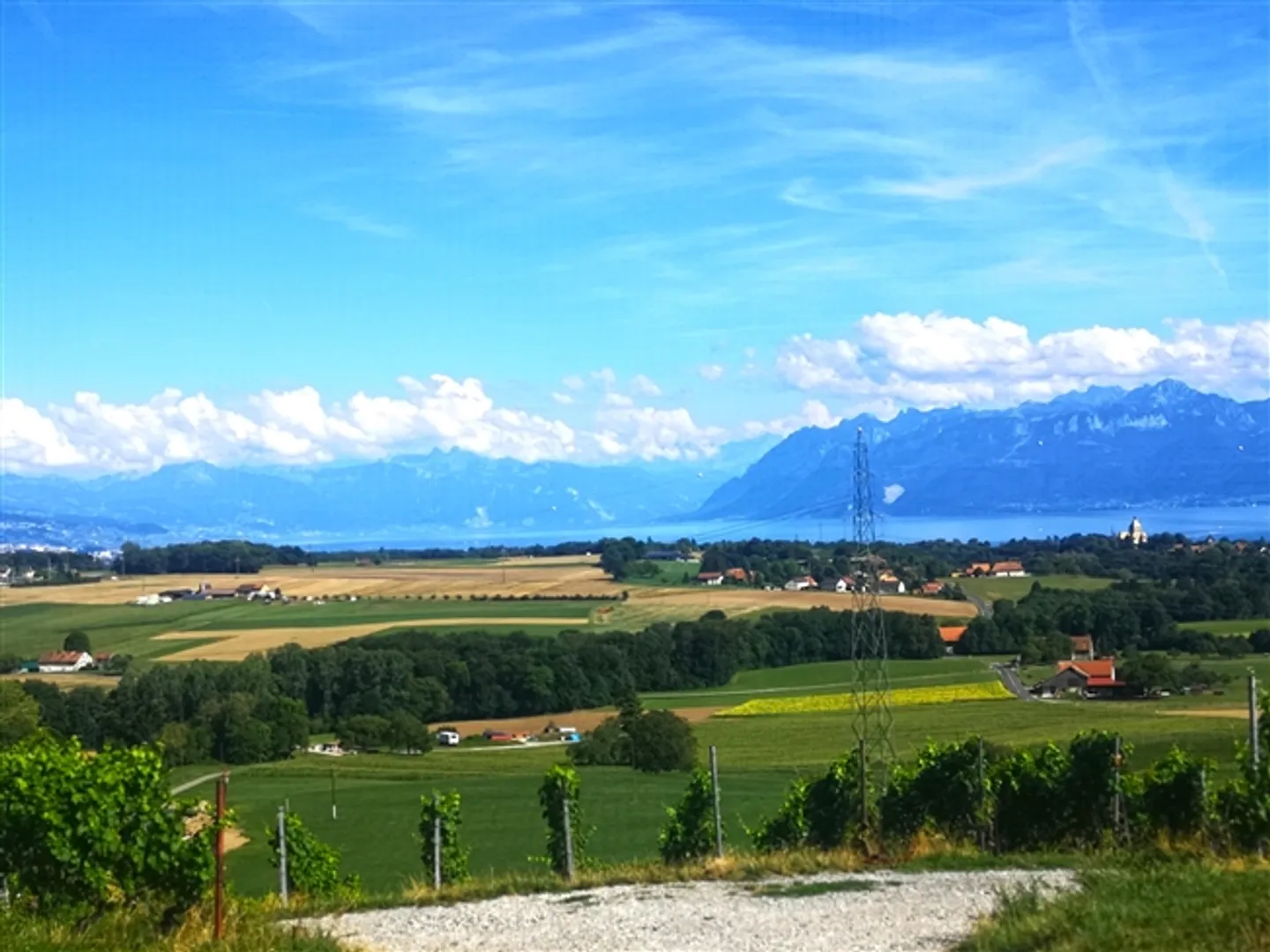 SUR LES HAUTEURS DE MORGES - APPARTEMENT EXTRAORDINAIRE - 13 PIÈCES - Photo 1 sur 2