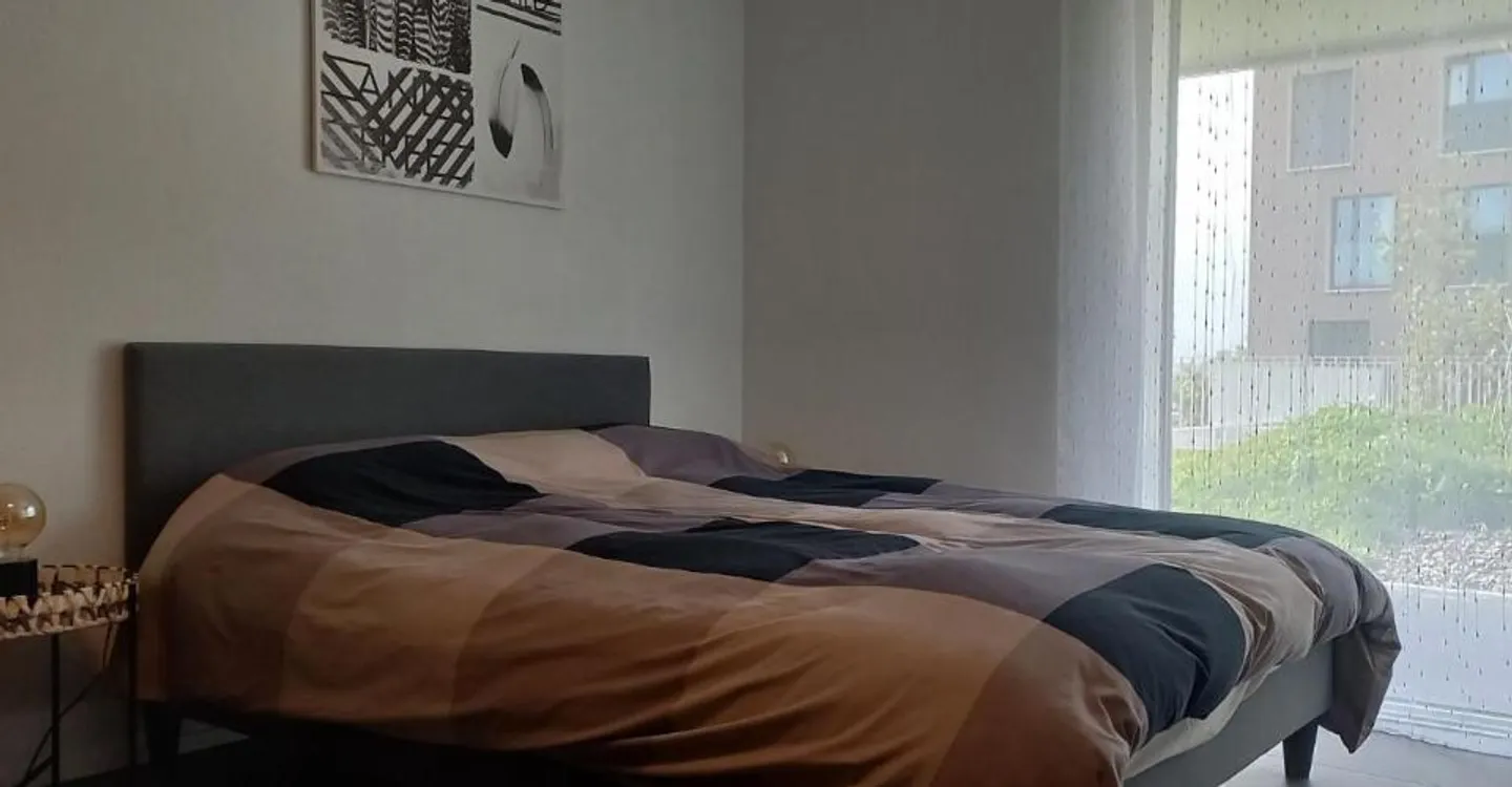 Spacious Studio with Terrace - Photo 7 of 10
