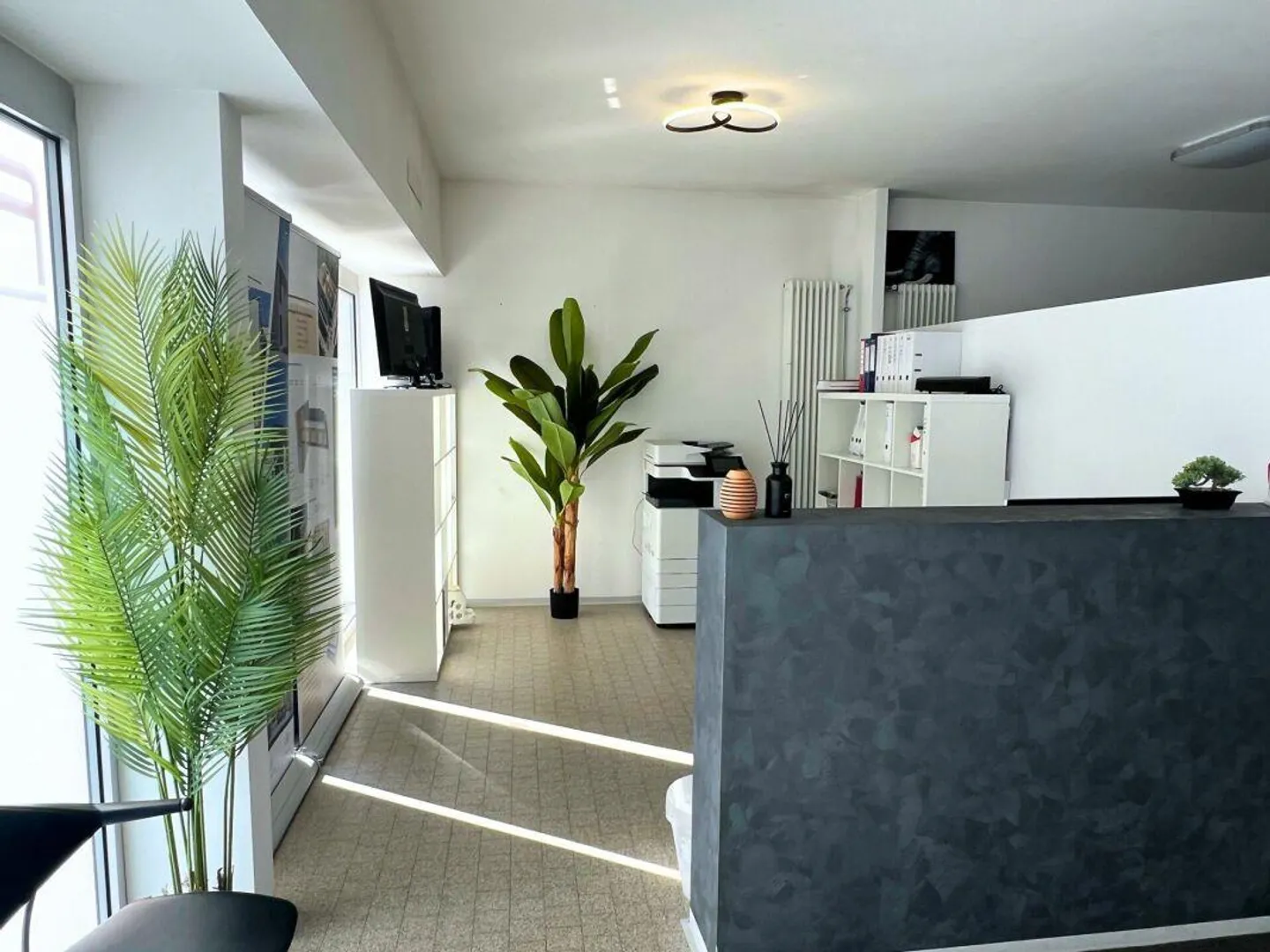 Spacious offices in the center of Chiasso - Photo 1 of 6