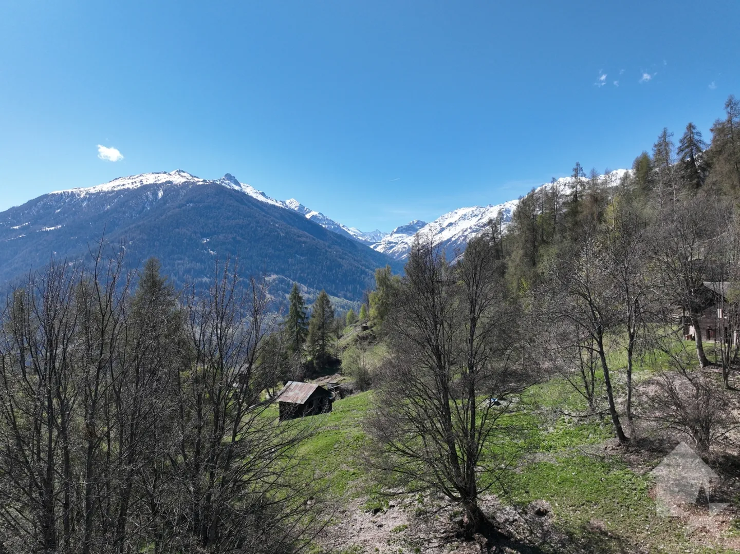 Terreno a Les Masses con vista aperta - Foto 4 di 9