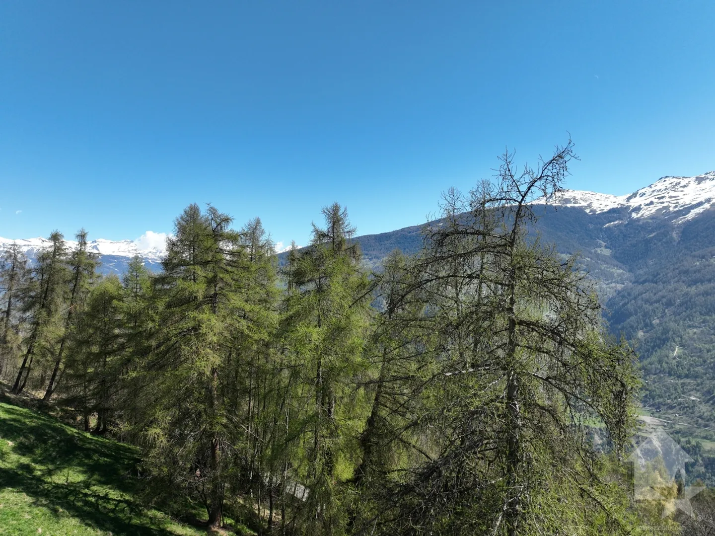 Terreno a Les Masses con vista aperta - Foto 6 di 9