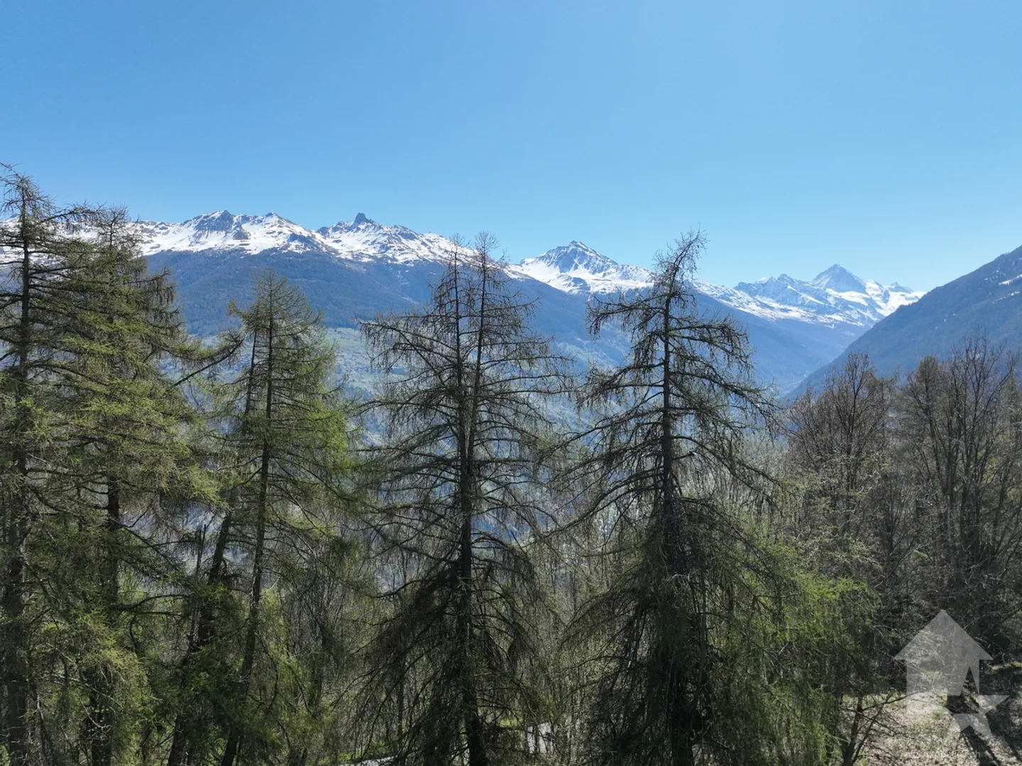 Terreno a Les Masses con vista aperta - Foto 8 di 9