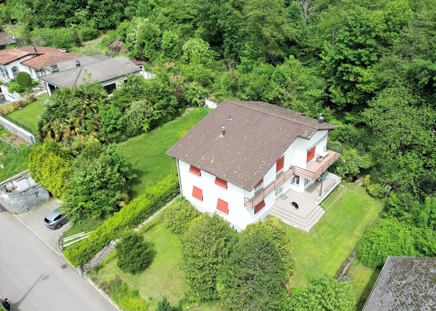 Renovierte Wohnung in der Natur - Foto 3 von 11