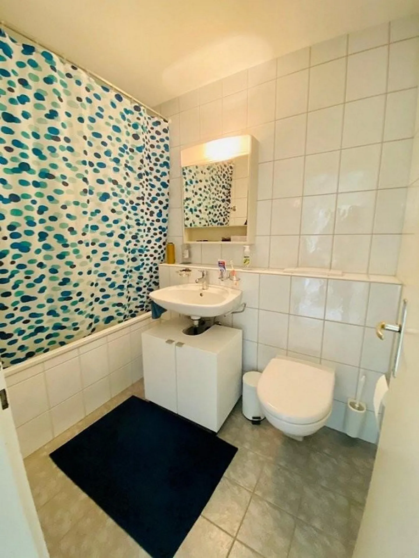 Central Single Apartment - Photo 3 of 6